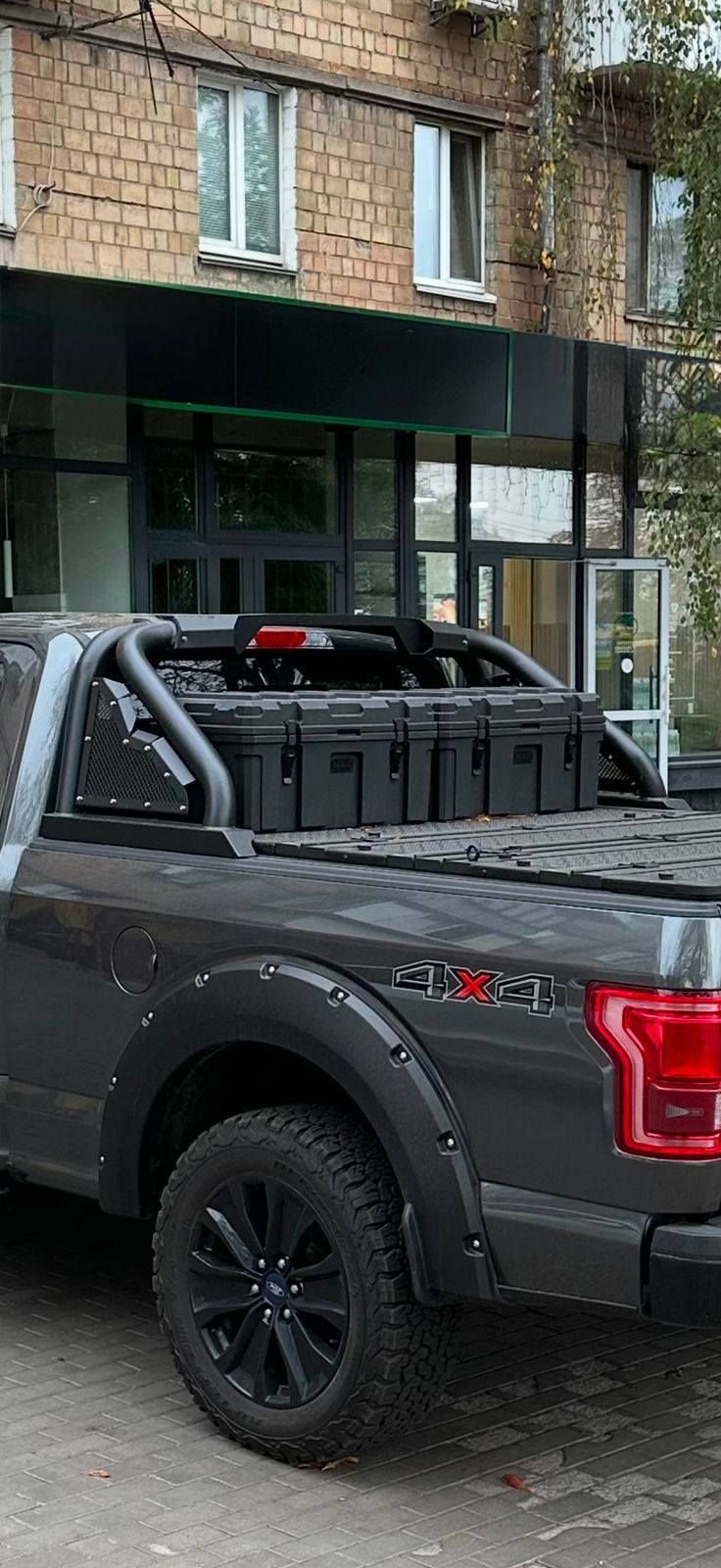 Roll Bar